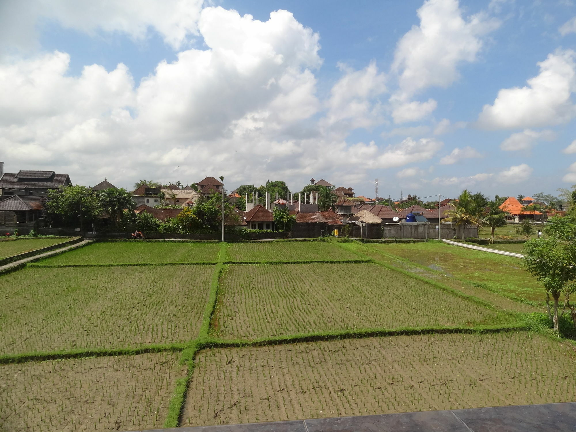 Hibiscus Cottages Ubud Exteriér fotografie