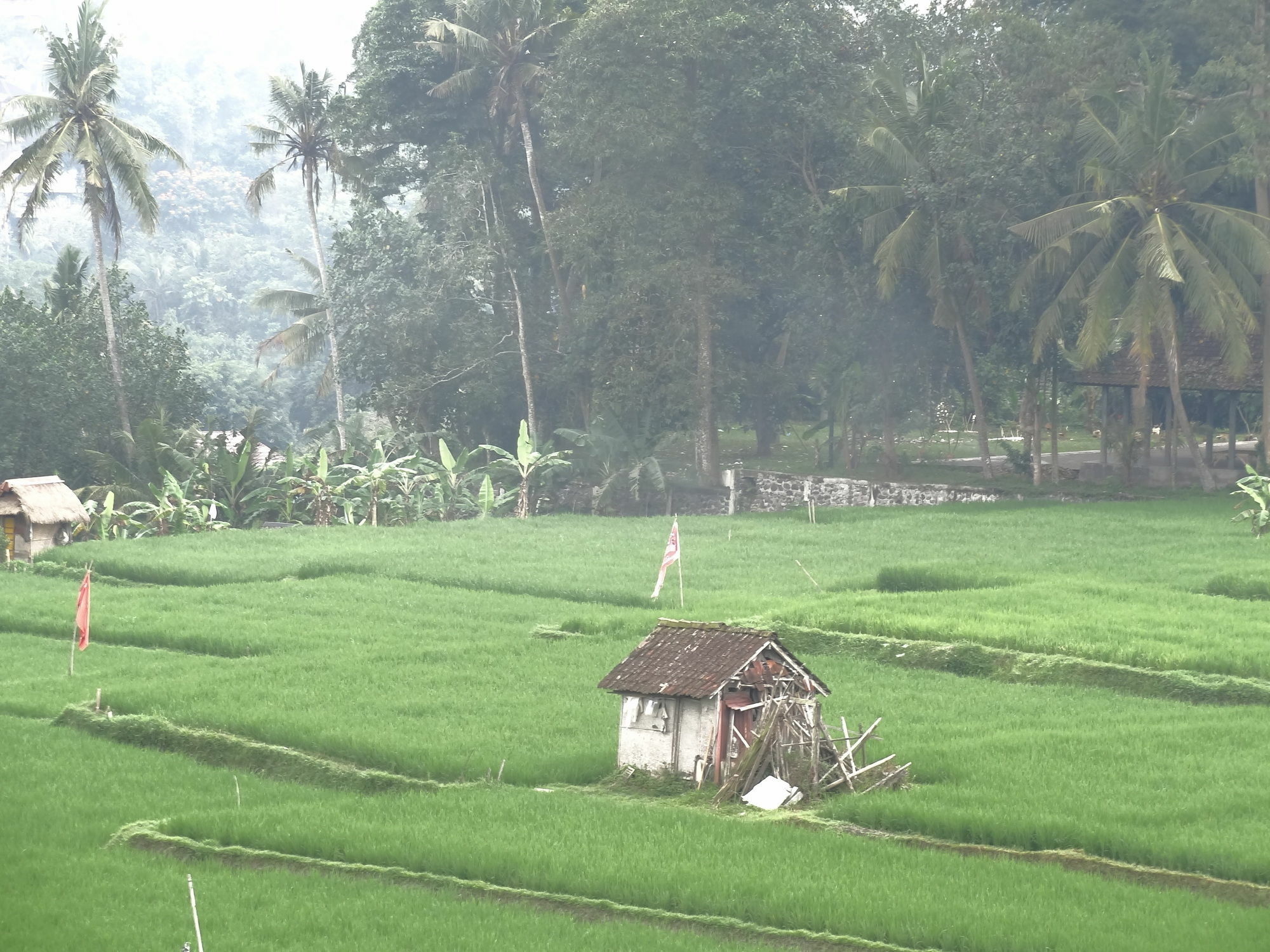 Hibiscus Cottages Ubud Exteriér fotografie